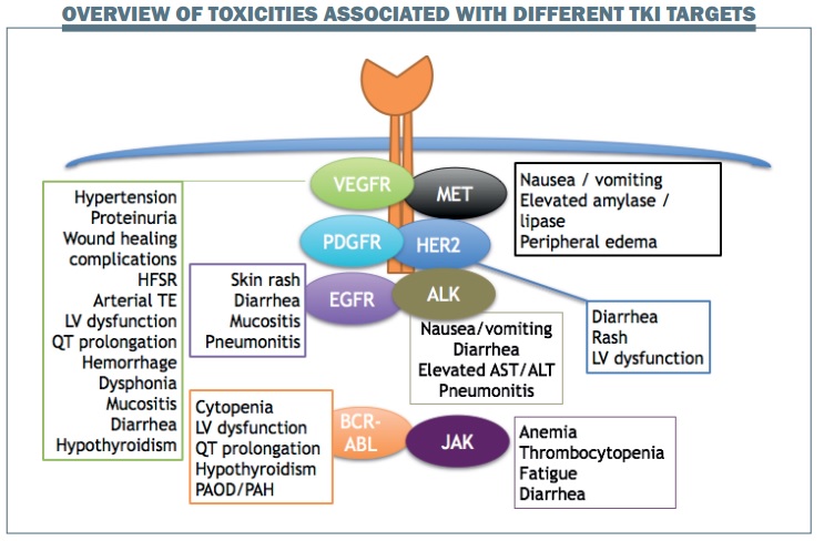 Managing Common Toxicities With New Tyrosine Kinase Inhibitors Cancer World Archive