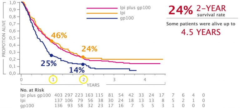 The role of immunotherapy in treating solid cancers | Cancer World Archive