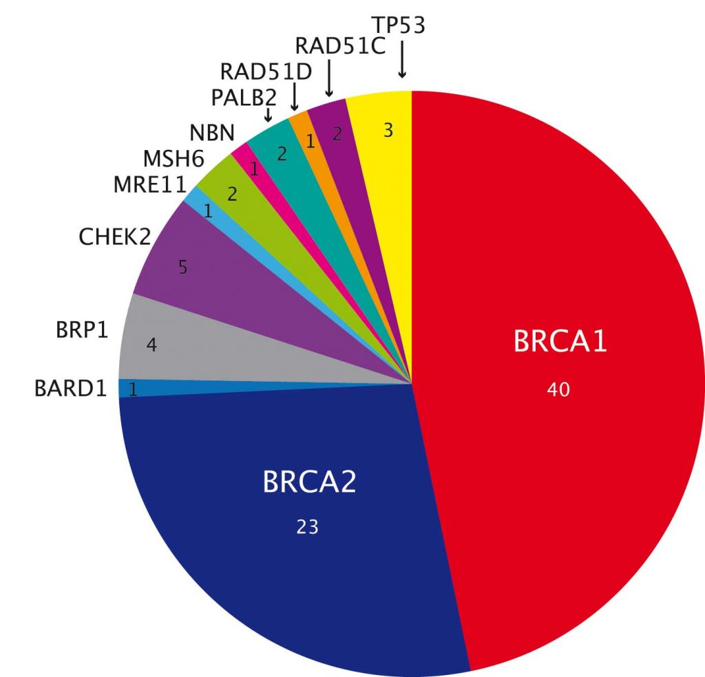 Hereditary mutations in cancer the use of panels and