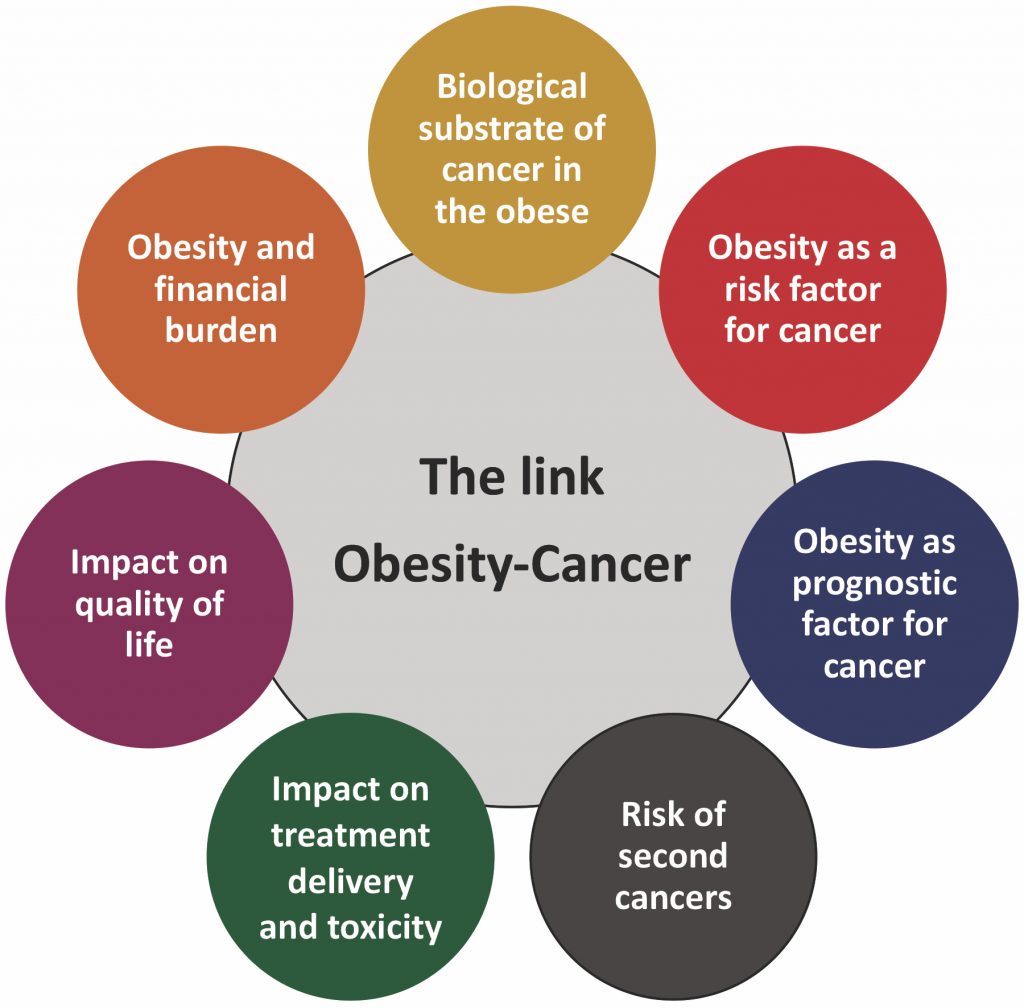 Obesity And Cancer Cancer World Archive